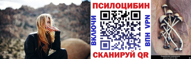 Галлюциногенные грибы Psilocybine cubensis  Малоярославец 